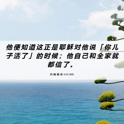 Picture 06 - 约 翰 福 音 4:53 CUVS - 他 便 知 道 这 正 是 耶 稣 对 他 说 - Bible Verse Picture