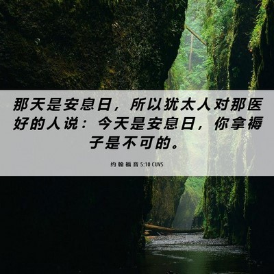 Picture 06 - 约 翰 福 音 5:10 CUVS - 那 天 是 安 息 日 ， 所 以 犹 太 人 - Bible Verse Picture