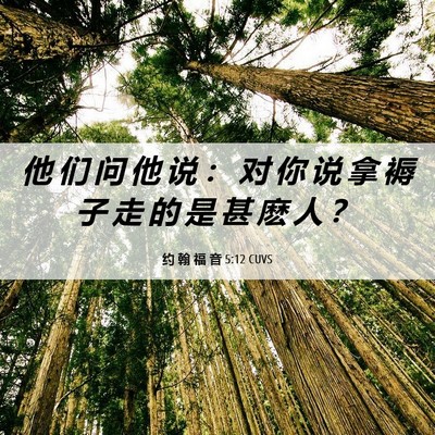 Picture 06 - 约 翰 福 音 5:12 CUVS - 他 们 问 他 说 ： 对 你 说 拿 褥 子 - Bible Verse Picture