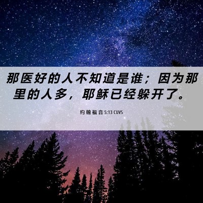 Picture 06 - 约 翰 福 音 5:13 CUVS - 那 医 好 的 人 不 知 道 是 谁 ； 因 - Bible Verse Picture