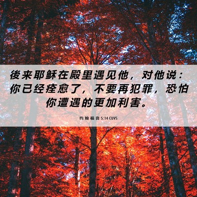 Picture 06 - 约 翰 福 音 5:14 CUVS - 後 来 耶 稣 在 殿 里 遇 见 他 ， 对 - Bible Verse Picture