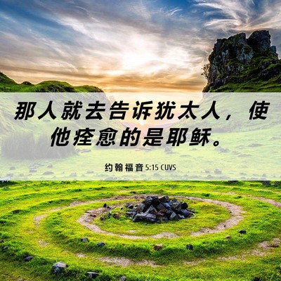 Picture 06 - 约 翰 福 音 5:15 CUVS - 那 人 就 去 告 诉 犹 太 人 ， 使 他 - Bible Verse Picture