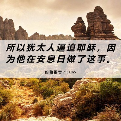 Picture 06 - 约 翰 福 音 5:16 CUVS - 所 以 犹 太 人 逼 迫 耶 稣 ， 因 为 - Bible Verse Picture
