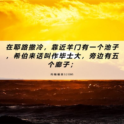 Picture 06 - 约 翰 福 音 5:2 CUVS - 在 耶 路 撒 冷 ， 靠 近 羊 门 有 一 - Bible Verse Picture