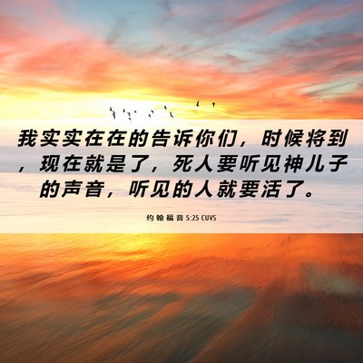 Picture 06 - 约 翰 福 音 5:25 CUVS - 我 实 实 在 在 的 告 诉 你 们 ， 时 - Bible Verse Picture