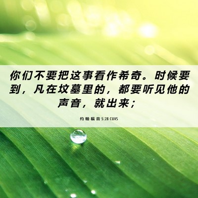 Picture 06 - 约 翰 福 音 5:28 CUVS - 你 们 不 要 把 这 事 看 作 希 奇 。 - Bible Verse Picture