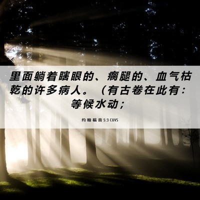 Picture 06 - 约 翰 福 音 5:3 CUVS - 里 面 躺 着 瞎 眼 的 、 瘸 腿 的 、 - Bible Verse Picture