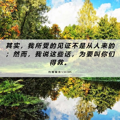 Picture 06 - 约 翰 福 音 5:34 CUVS - 其 实 ， 我 所 受 的 见 证 不 是 从 - Bible Verse Picture