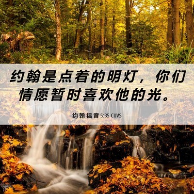 Picture 06 - 约 翰 福 音 5:35 CUVS - 约 翰 是 点 着 的 明 灯 ， 你 们 情 - Bible Verse Picture