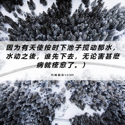 Picture 06 - 约 翰 福 音 5:4 CUVS - 因 为 有 天 使 按 时 下 池 子 搅 动 - Bible Verse Picture