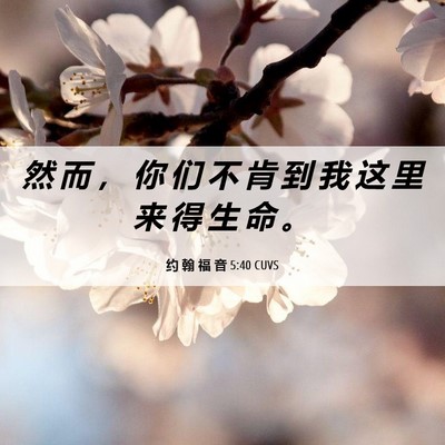 Picture 06 - 约 翰 福 音 5:40 CUVS - 然 而 ， 你 们 不 肯 到 我 这 里 来 - Bible Verse Picture