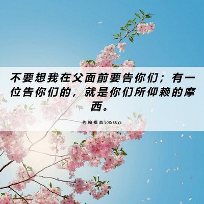 Picture 06 - 约 翰 福 音 5:45 CUVS - 不 要 想 我 在 父 面 前 要 告 你 们 - Bible Verse Picture