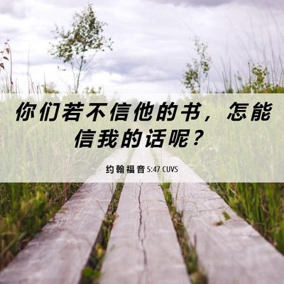 Picture 06 - 约 翰 福 音 5:47 CUVS - 你 们 若 不 信 他 的 书 ， 怎 能 信 - Bible Verse Picture