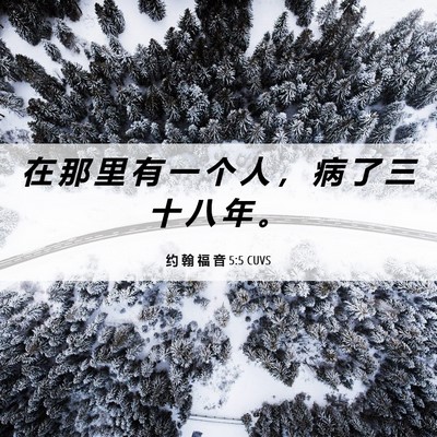 Picture 06 - 约 翰 福 音 5:5 CUVS - 在 那 里 有 一 个 人 ， 病 了 三 十 - Bible Verse Picture