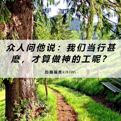 Picture 06 - 约 翰 福 音 6:28 CUVS - 众 人 问 他 说 ： 我 们 当 行 甚 麽 - Bible Verse Picture