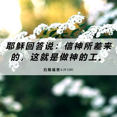 Picture 06 - 约 翰 福 音 6:29 CUVS - 耶 稣 回 答 说 ： 信 神 所 差 来 的 - Bible Verse Picture