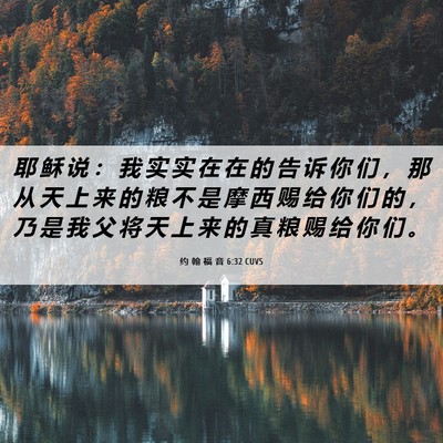 Picture 06 - 约 翰 福 音 6:32 CUVS - 耶 稣 说 ： 我 实 实 在 在 的 告 诉 - Bible Verse Picture