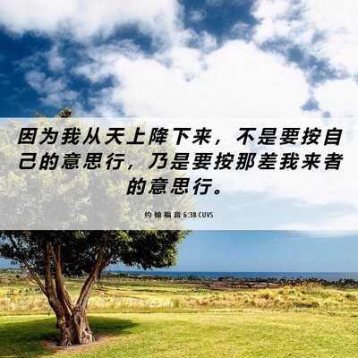 Picture 06 - 约 翰 福 音 6:38 CUVS - 因 为 我 从 天 上 降 下 来 ， 不 是 - Bible Verse Picture