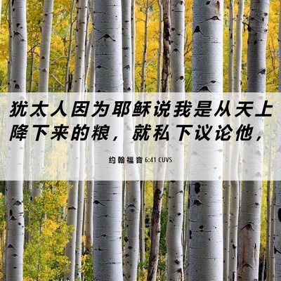 Picture 06 - 约 翰 福 音 6:41 CUVS - 犹 太 人 因 为 耶 稣 说 我 是 从 天 - Bible Verse Picture