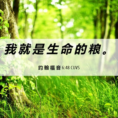 Picture 06 - 约 翰 福 音 6:48 CUVS - 我 就 是 生 命 的 粮 - Bible Verse Picture