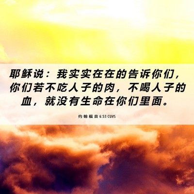 Picture 06 - 约 翰 福 音 6:53 CUVS - 耶 稣 说 ： 我 实 实 在 在 的 告 诉 - Bible Verse Picture