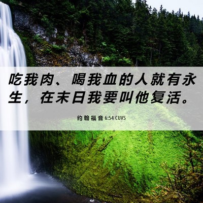 Picture 06 - 约 翰 福 音 6:54 CUVS - 吃 我 肉 、 喝 我 血 的 人 就 有 永 - Bible Verse Picture