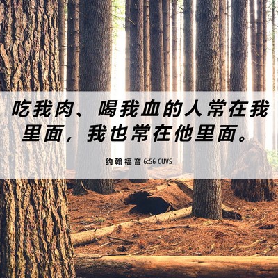 Picture 06 - 约 翰 福 音 6:56 CUVS - 吃 我 肉 、 喝 我 血 的 人 常 在 我 - Bible Verse Picture