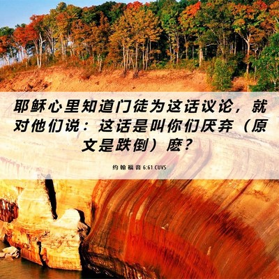 Picture 06 - 约 翰 福 音 6:61 CUVS - 耶 稣 心 里 知 道 门 徒 为 这 话 议 - Bible Verse Picture