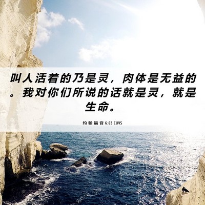 Picture 06 - 约 翰 福 音 6:63 CUVS - 叫 人 活 着 的 乃 是 灵 ， 肉 体 是 - Bible Verse Picture