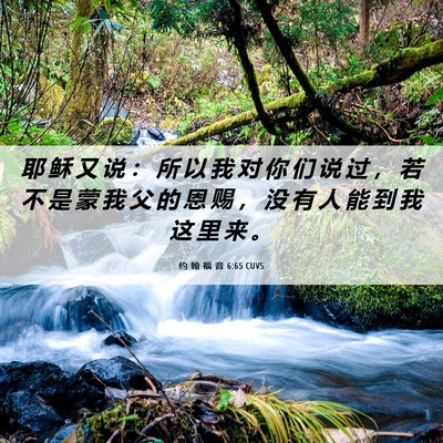 Picture 06 - 约 翰 福 音 6:65 CUVS - 耶 稣 又 说 ： 所 以 我 对 你 们 说 - Bible Verse Picture