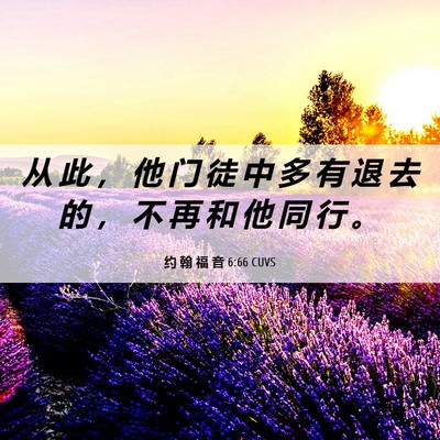 Picture 06 - 约 翰 福 音 6:66 CUVS - 从 此 ， 他 门 徒 中 多 有 退 去 的 - Bible Verse Picture