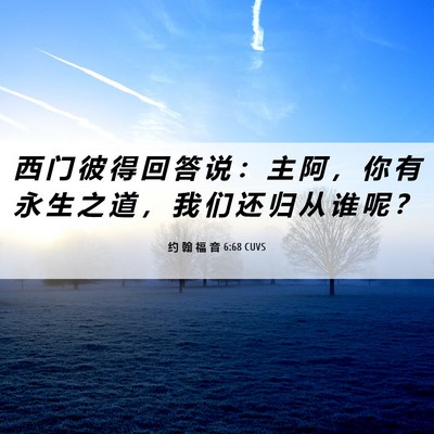 Picture 06 - 约 翰 福 音 6:68 CUVS - 西 门 彼 得 回 答 说 ： 主 阿 ， 你 - Bible Verse Picture
