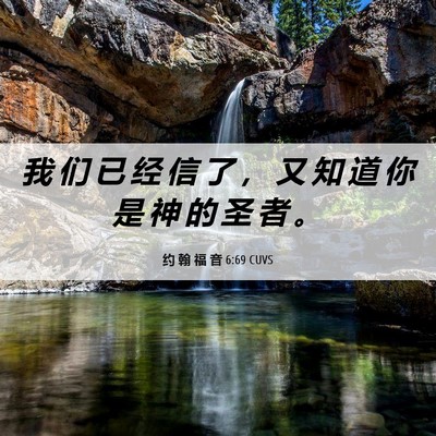 Picture 06 - 约 翰 福 音 6:69 CUVS - 我 们 已 经 信 了 ， 又 知 道 你 是 - Bible Verse Picture