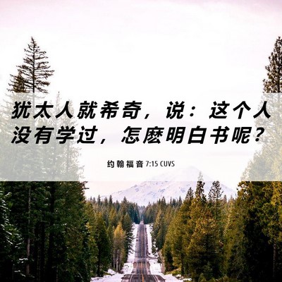Picture 06 - 约 翰 福 音 7:15 CUVS - 犹 太 人 就 希 奇 ， 说 ： 这 个 人 - Bible Verse Picture