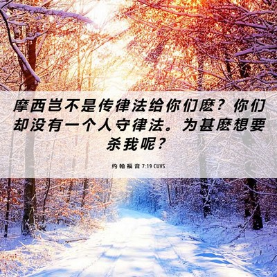 Picture 06 - 约 翰 福 音 7:19 CUVS - 摩 西 岂 不 是 传 律 法 给 你 们 麽 - Bible Verse Picture