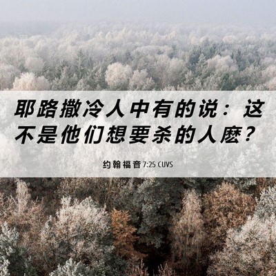 Picture 06 - 约 翰 福 音 7:25 CUVS - 耶 路 撒 冷 人 中 有 的 说 ： 这 不 - Bible Verse Picture