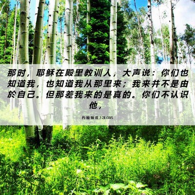 Picture 06 - 约 翰 福 音 7:28 CUVS - 那 时 ， 耶 稣 在 殿 里 教 训 人 ， - Bible Verse Picture