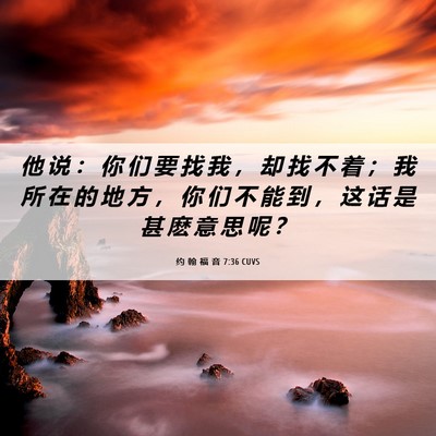 Picture 06 - 约 翰 福 音 7:36 CUVS - 他 说 ： 你 们 要 找 我 ， 却 找 不 - Bible Verse Picture