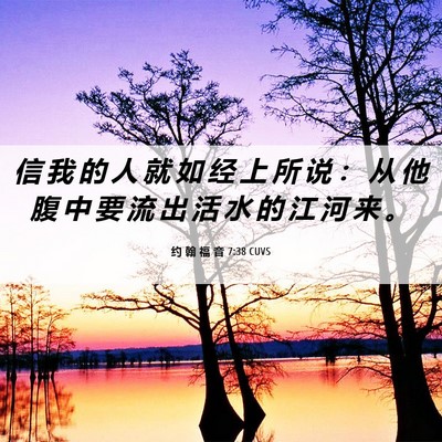 Picture 06 - 约 翰 福 音 7:38 CUVS - 信 我 的 人 就 如 经 上 所 说 ： 从 - Bible Verse Picture