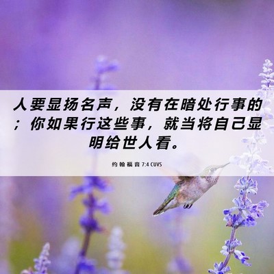 Picture 06 - 约 翰 福 音 7:4 CUVS - 人 要 显 扬 名 声 ， 没 有 在 暗 处 - Bible Verse Picture