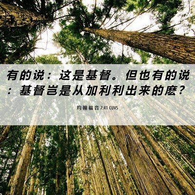 Picture 06 - 约 翰 福 音 7:41 CUVS - 有 的 说 ： 这 是 基 督 。 但 也 有 - Bible Verse Picture