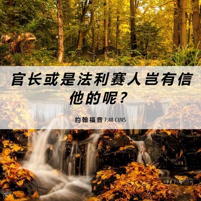 Picture 06 - 约 翰 福 音 7:48 CUVS - 官 长 或 是 法 利 赛 人 岂 有 信 他 - Bible Verse Picture