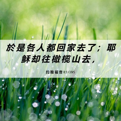 Picture 06 - 约 翰 福 音 8:1 CUVS - 於 是 各 人 都 回 家 去 了 ； 耶 稣 - Bible Verse Picture