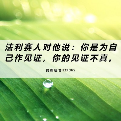 Picture 06 - 约 翰 福 音 8:13 CUVS - 法 利 赛 人 对 他 说 ： 你 是 为 自 - Bible Verse Picture