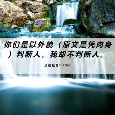 Picture 06 - 约 翰 福 音 8:15 CUVS - 你 们 是 以 外 貌 （ 原 文 是 凭 肉 - Bible Verse Picture