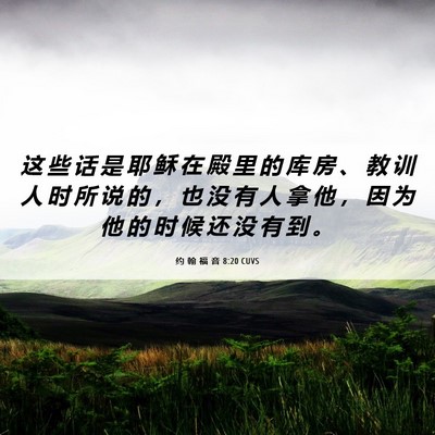 Picture 06 - 约 翰 福 音 8:20 CUVS - 这 些 话 是 耶 稣 在 殿 里 的 库 房 - Bible Verse Picture