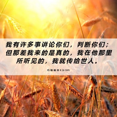 Picture 06 - 约 翰 福 音 8:26 CUVS - 我 有 许 多 事 讲 论 你 们 ， 判 断 - Bible Verse Picture