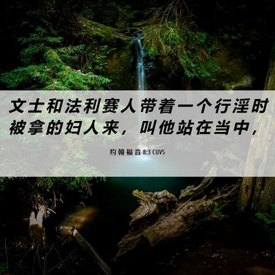 Picture 06 - 约 翰 福 音 8:3 CUVS - 文 士 和 法 利 赛 人 带 着 一 个 行 - Bible Verse Picture