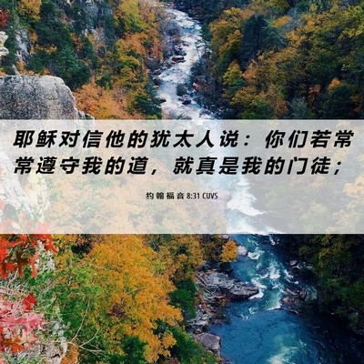Picture 06 - 约 翰 福 音 8:31 CUVS - 耶 稣 对 信 他 的 犹 太 人 说 ： 你 - Bible Verse Picture