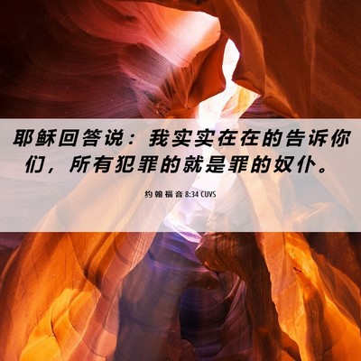 Picture 06 - 约 翰 福 音 8:34 CUVS - 耶 稣 回 答 说 ： 我 实 实 在 在 的 - Bible Verse Picture